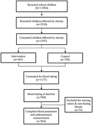 Cardiometabolic risk factors among children who are affected by overweight, obesity and severe obesity